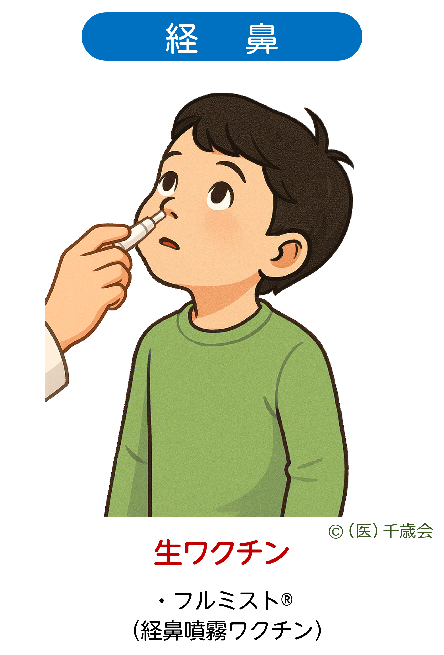 経鼻噴霧ワクチン(フルミスト)の説明図