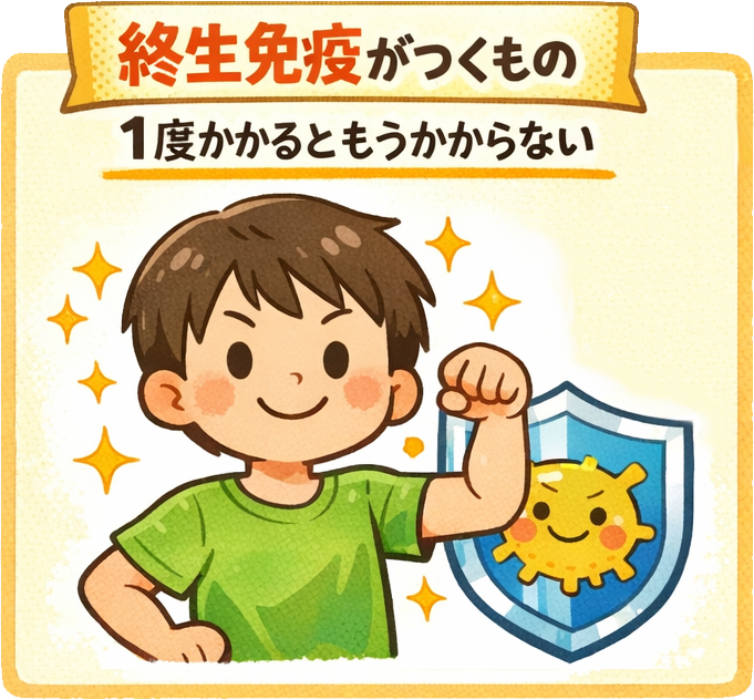 終生免疫が得られるウイルス